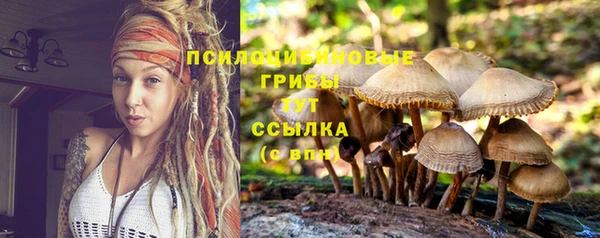 дживик Приозерск