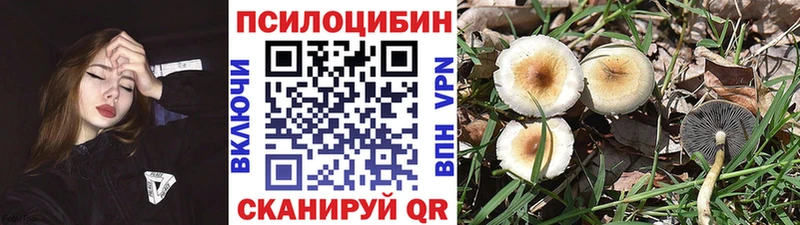 Купить закладки  Зея  Галлюциногенные грибы ЛСД 